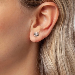 Pendientes de Titanio G23 16G para <span class=keywords><strong>Piercing</strong></span> Labret, Labio, Cartílago, Tragus, Hélix, Daith, Lóbulo, Joyería Corporal de Estilo Moderno - Product Image 3