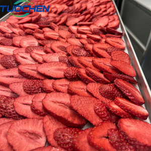 Liofilizador Doméstico <span class=keywords><strong>de</strong></span> 10kg, 14kg, 50kg para Café, Leche, Frutas, con <span class=keywords><strong>Bomba</strong></span> <span class=keywords><strong>de</strong></span> Vacío, Pequeña Máquina <span class=keywords><strong>de</strong></span> Liofilización para Alimentos en Venta - Product Image 3