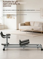 Appareil d'entraînement de fitness RS Crawler pour usage commercial et domestique, machine d'exercice de stretching de la colonne lombaire et de renforcement du tronc