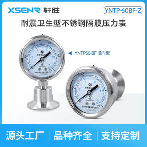 เกจวัดแรงดันไดอะแฟรม Suzhou Yntp 60Bf Z ขนาด 60 มม. สแตนเลสสตีล ความแม่นยำ 2.5  แบบติดตั้งแนวนอน - Product Image 5