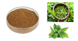 Extrait de thé vert Ruiwo EGCG 98% en poudre, qualité alimentaire et cosmétique, végétalien, capsules blanches à base de plantes, pur et naturel, partie de feuille utilisée, 1kg - Product Image 2