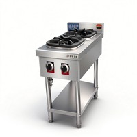 Réchaud à gaz professionnel en acier inoxydable à 2 brûleurs avec support stable pour pot en terre cuite, idéal pour les cuisines d'hôtel