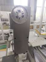 Machine à coudre automatique à Double aiguille DS-9607BFT