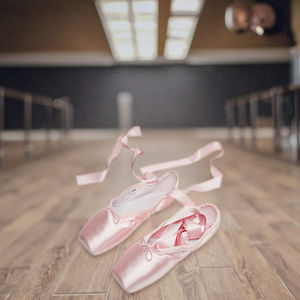SeeMore <span class=keywords><strong>Ballet</strong></span> Niños Principiantes Práctica Retro Correa de lino para adultos Entrenamiento interior Zapatos de baile suaves de punta plana - Product Image 1