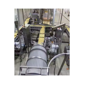 High Quality Fully Automatic <b>Snack</b> and Food Processing <b>Machines</b> with High Productivity with Portioning and Seasoning Packaging - Product Image 4