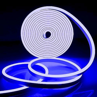 Ruban LED Néon Flexible Tubulaire PVC Haute Luminosité Cuivre 8mm 12V/24V 6*12mm à Vision Latérale IP67 pour Aménagement Paysager 120 LED/m Ra90 App