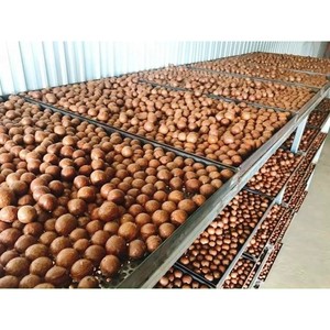 Macadamia entera personalizable en Shell Snack estilo seco tostado crujiente para el mercado de exportación Servicio OEM ODM disponible - Product Image 3