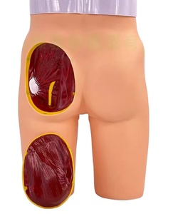 Maniquí de entrenamiento para inyecciones intramusculares glúteas, simulador de glúteos y cadera, modelo de medio <span class=keywords><strong>cuerpo</strong></span> para enfermería, escuelas y hospitales - Product Image 3