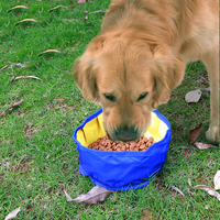 Bol d'eau pliable pour chien 1100ML, grand Volume, bol de stockage des aliments, pour les voyages, la randonnée en plein air, récipient pliable pour animaux de compagnie
