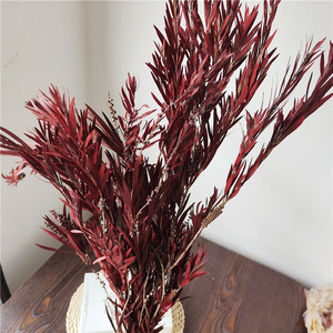 ลูกปัด<span class=keywords><strong>พระ</strong></span>พุทธรูปโรงงานนิรันดร์ช่อดอกไม้แห้งที่เก็บรักษาไว้อุปกรณ์ตกแต่งแบบนิ่มจัดสวนเทศกาลแต่งงานจัดสวน - Product Image 4