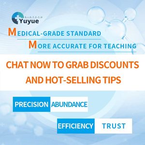 Modelo de Enseñanza Educativa, Kit de Entrenamiento de Operaciones Básicas de Enfermería (<span class=keywords><strong>5</strong></span> Componentes) para Práctica Médica - Product Image 6