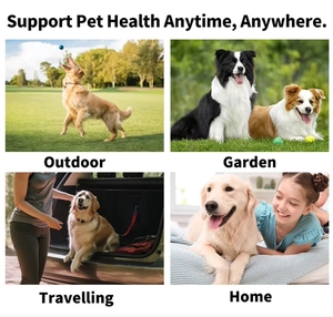 ผ้าเช็ดฟันสัตว์เลี้ยงแบบใช้แล้วทิ้งขายส่งจากโรงงาน ชุดทำความสะอาดฟันสุนัข ช่วยให้ลมหายใจสดชื่น ป้องกันโรคเหงือกอักเสบ อุปกรณ์สำหรับสัตว์เลี้ยง - Product Image 6