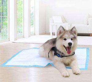 50-Pack Thickened Basic <b>Dog</b> Training Pad Pet Disposable Absorbent Toilet <b>Mat</b> With Quick-Drying and Leakproof Cloth Material - Product Image 2
