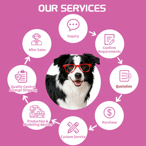 Integratore Liquido al Collagene per Animali Domestici OEM ODM, Formula Veterinaria ad Alto Contenuto Proteico per Pelle e Pelo di Cani e Gatti, Gusto Personalizzabile - Product Image 3