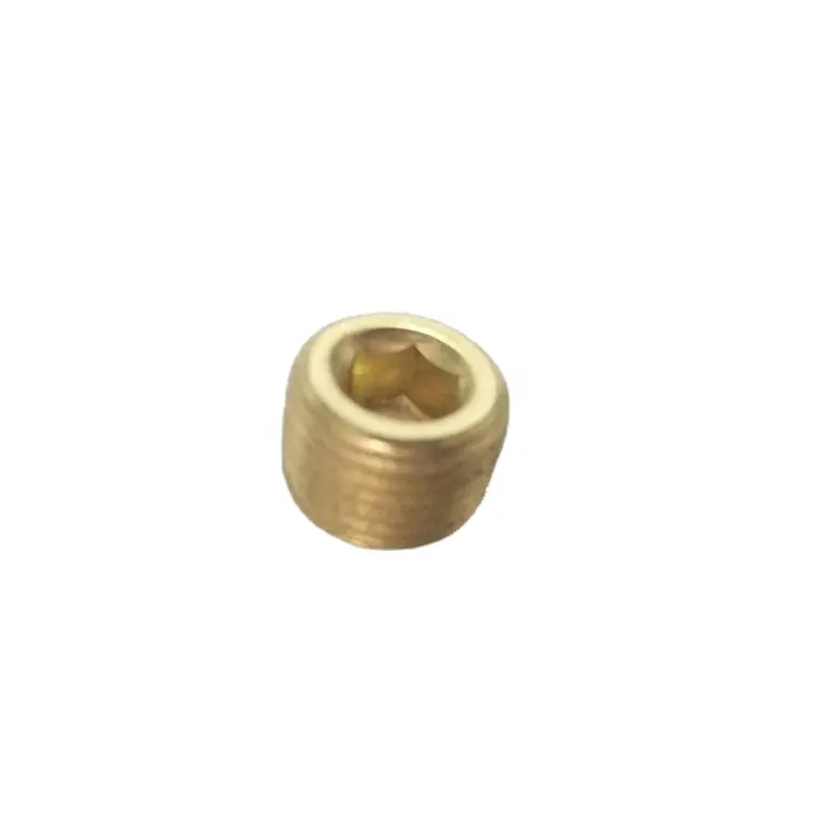 Brass 1/8"NPT pipe blanking plug,Brass Socket head plug