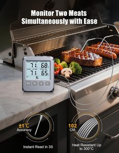 Thermomètre numérique pour fumoir, grillades, barbecue, four, usage domestique, pour sucre et thé - Product Image 2