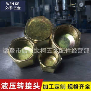 Tapón de Rosca Interna Hidráulico de Acero al Carbono, Tapón de Sellado para Manguera de Aceite de Alta Presión M16 M18 M22 - Product Image 3
