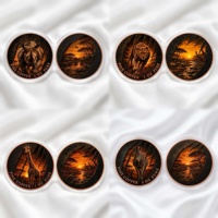 4 ensembles de pièces de collection jumelées en cuivre pur de 1 once, motif animaux sauvages de la savane africaine 2D, pièce de défi, médaille de collection sur le thème de la faune