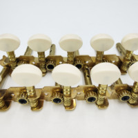 High Quality Electric Guitar Tuning Pegs 5R5L 5 Sets 10 Strings Double Hole Steel Column Replacement String Peg Accessories
