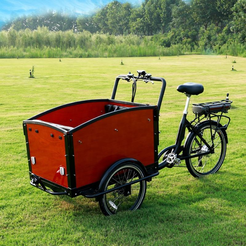 Cargo Bike Biciclette Per Anziani A Tre Ruote Bici Tre Ruote Triciclo Per  Adulti 26 Pollici Velocità