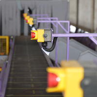 Machine de tri à courroies croisées industrielle pour un tri rapide et précis des colis, la manutention des matériaux et les centres logistiques modernes