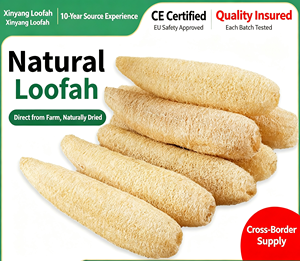 Esponja de Luffa Seca Orgánica Natural, Exfoliante Corporal Ecológico y Esponja de Limpieza para Platos de Cocina, Biodegradable - Product Image 1