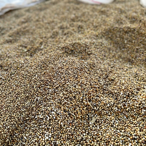 Bajra indien en gros - Product Image 1