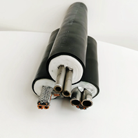 Tubo de Muestreo Integrado de Acero Inoxidable 316L con Calefacción Anticorrosión y Alta Hermeticidad, Personalizable para Monitoreo de Gases de Combustión y COV