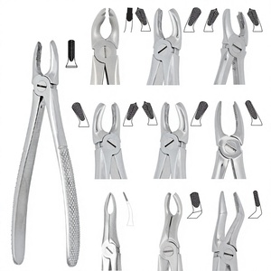 Forceps d'extraction dentaire en acier inoxydable, pinces chirurgicales manuelles pour l'extraction dentaire et la chirurgie buccale - Product Image 1