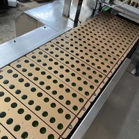 Nieuwe Staat Automatische Zachte Snoep Machine Gummy Candy & Jelly Fruit Chocolade Maker Voor Voedselverwerking Lijnen