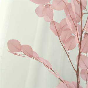 Feuilles d'<span class=keywords><strong>eucalyptus</strong></span> séchées et blanchies naturellement, branches d'<span class=keywords><strong>eucalyptus</strong></span> séchées et préservées au toucher réel, <span class=keywords><strong>guirlande</strong></span> d'<span class=keywords><strong>eucalyptus</strong></span> verte - Product Image 4
