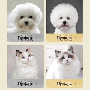 Cepillo de aseo para mascotas para gatos y perros con material ABS, diseño práctico para uso diario. - Product Image 2
