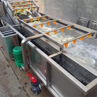 304 RVS groente- en fruitwasmachine, fruitwasser voor bessen, chilipepers en wortelgroenten productielijnen