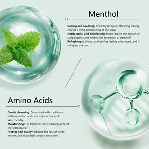 Shampooing menthe aux acides aminés 250ml/500ml, adapté au cuir chevelu sensible et gras, contrôle de l'huile et shampooing végétal <span class=keywords><strong>naturel</strong></span> antipelliculaire - Product Image 2