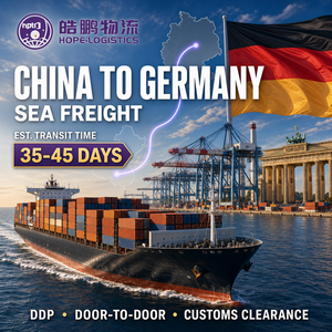 Agente di Spedizioni Economico dalla Cina, Servizi Logistici Porta <span class=keywords><strong>a</strong></span> Porta, Spedizioniere Marittimo verso Europa/FR/DE/IT - Product Image 3