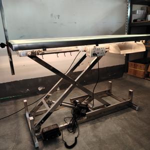 स्टेनलेस स्टील चमकदार इलेक्ट्रिक सौंदर्य टेबल पालतू सौंदर्य टेबल पालतू सौंदर्य उत्पाद बिजली उठाने वाले उत्पाद इलेक्ट्रिक उठाने के लिए - Product Image 6