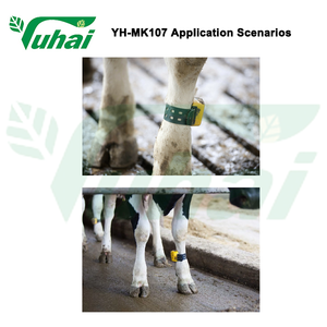 प्लास्टिक के लिए गाय के टैग गर्दन कॉलर पशु जाने पर डेटा प्रदान करता है, गाय कॉलर बेल्ट, पैर बैंड - Product Image 6