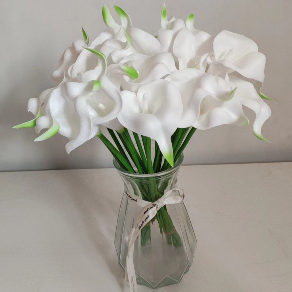 Verde+blanco