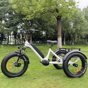 Prix d'usine OEM <span class=keywords><strong>Vélo</strong></span> <span class=keywords><strong>électrique</strong></span> à 3 roues Tricycle <span class=keywords><strong>électrique</strong></span> 500w <span class=keywords><strong>Vélo</strong></span> <span class=keywords><strong>cargo</strong></span> <span class=keywords><strong>électrique</strong></span> pour adultes <span class=keywords><strong>Vélo</strong></span> de livraison <span class=keywords><strong>avec</strong></span> <span class=keywords><strong>assistance</strong></span> au pédalage - Product Image 6