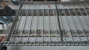 Meshband, meshbandtransportband, kettingaangedreven band - Product Image 4