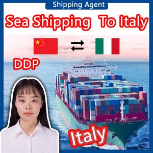 DDP 海运到欧洲 德国 西班牙 波兰 法国 意大利 可靠的货运代理公司 FCL/LCL 服务 快速运输 - Product Image 5