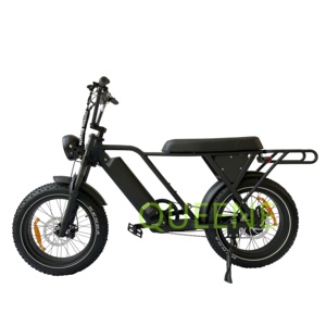 QUEENE/1000w Vélo électrique à gros pneus/Vélo électrique pour la neige/Super vélo électrique de plage - Product Image 1