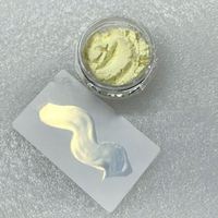 Poudre à ongles professionnelle de style japonais de luxe, 9 couleurs, art des ongles nacré, aurora, fée magique, miroir translucide, peau de glace, salon de manucure