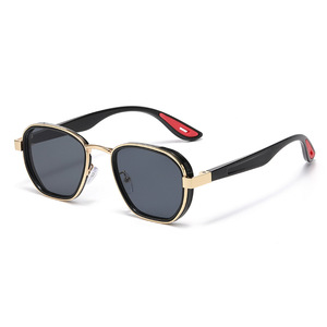 Nueva Tendencia de Moda, Gafas de Sol de Plástico Personalizadas, Lentes de PC con Protección UV400, Montura Ovalada para Hombre - Product Image 5