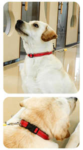 Großhandel Einfaches Verstellbares Nylon-Hundehalsband Weich Moderner Stil Blanko Individuelles Logo-Modernes Einfarbiges Muster Hundezubehör - Product Image 6