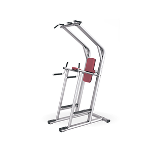Appareil de fitness multifonctionnel pour studio personnel : machine à dips et abdominaux, entraînement des muscles supérieurs et du tronc - Product Image 1