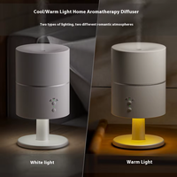 Machine multifonctionnelle de diffuseur d'arôme de chauffage de refroidissement de 200ML une lampe purificateur d'air électrique à double usage pour l'usage domestique