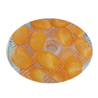 BAIYI Hot Sales Elektrische Mechanische 5-Tray Huishoudelijke Fruit- & Groente Droger met 250W Mini Voedseldroger 70°C Milieuvriendelijk