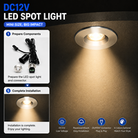 Mini spot LED DC12V 0,7W encastré pour vitrine à bijoux, étagère de présentation avec connecteur Dupont
