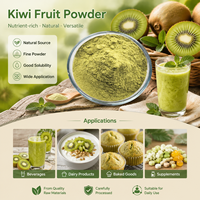 Kiwi Fruitpoeder Spraydroging CGMP Gecertificeerd Snelle Verzending voor Vaste Dranken & Bakformules